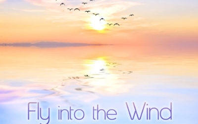Fly Into the Wind