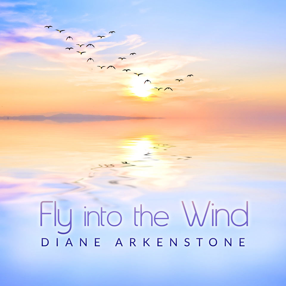 Fly Into the Wind
