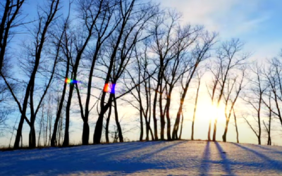 Winter | poem by Diane Arkenstone