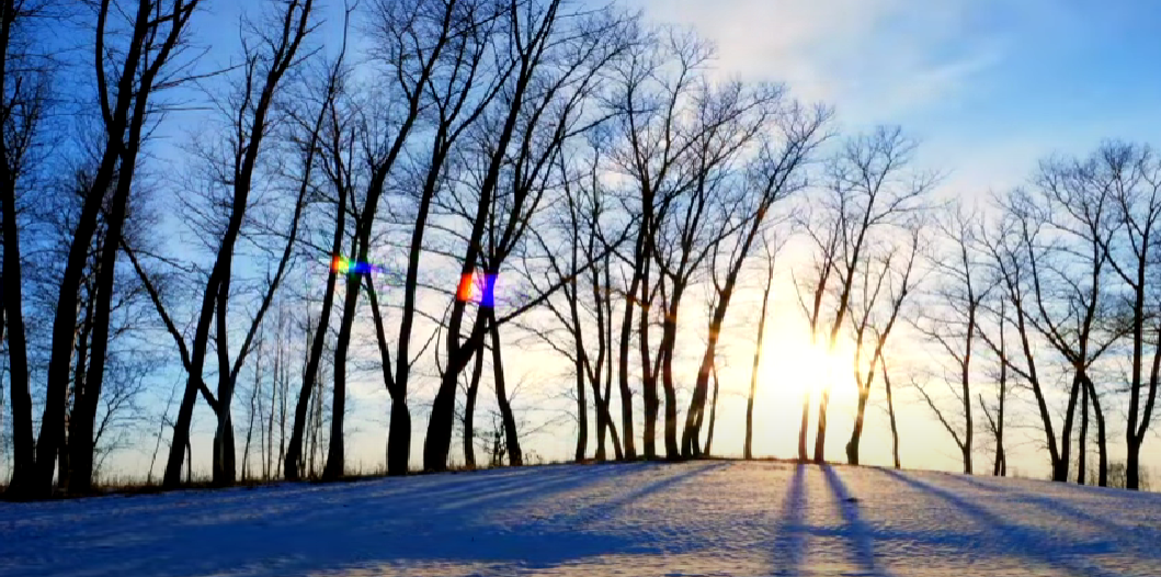 Winter | poem by Diane Arkenstone